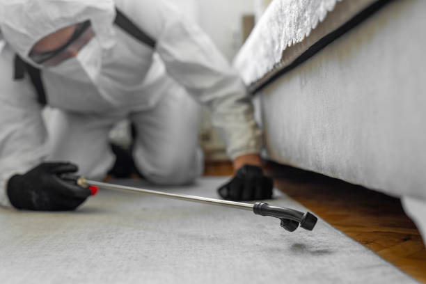 Professional Termite Control technician working in Atkins, AR